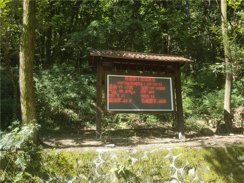 負氧離子 內頁.jpg